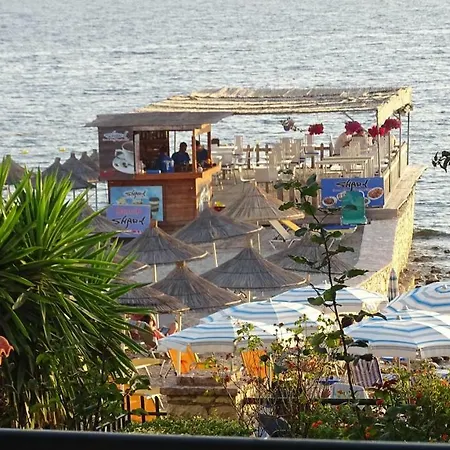 Seaside Garden *