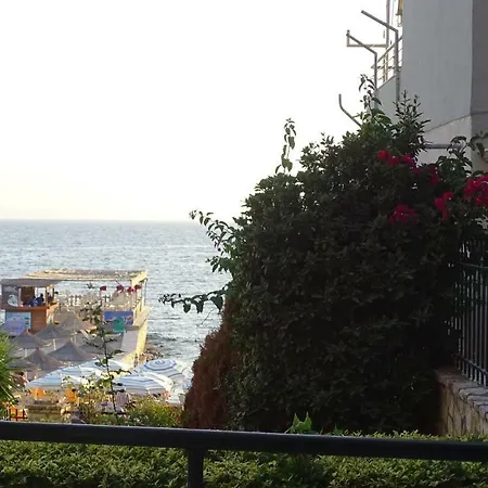Seaside Garden *